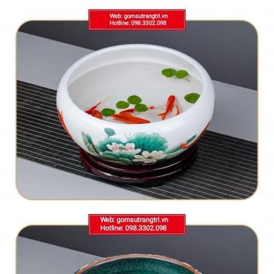 ANG NƯỚC THẢ CÁ THẢ HOA, TRỒNG SEN CẢNH MINI